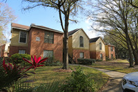 The Grand Reserve in Tampa, FL - Foto de edificio - Building Photo