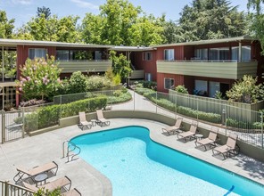 Bay Tree in Los Gatos, CA - Foto de edificio - Building Photo