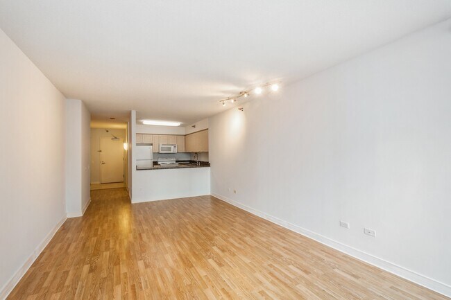 512 N McClurg Ct in Chicago, IL - Building Photo - Building Photo