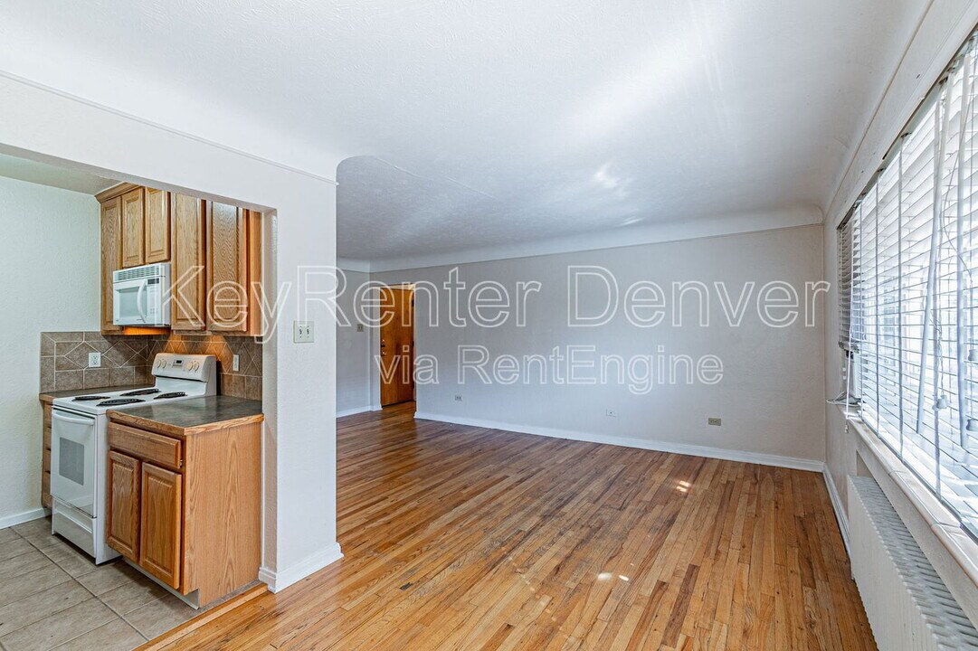 733 E 2nd Ave in Denver, CO - Building Photo
