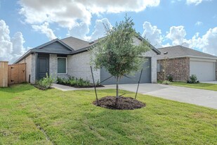 6814 Flowering Ginger Ln in Katy, TX - Building Photo