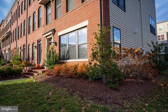 42365 Zebulon Sq in Brambleton, VA - Foto de edificio - Building Photo