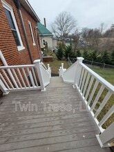 5499 Main St in Mount Jackson, VA - Building Photo - Building Photo