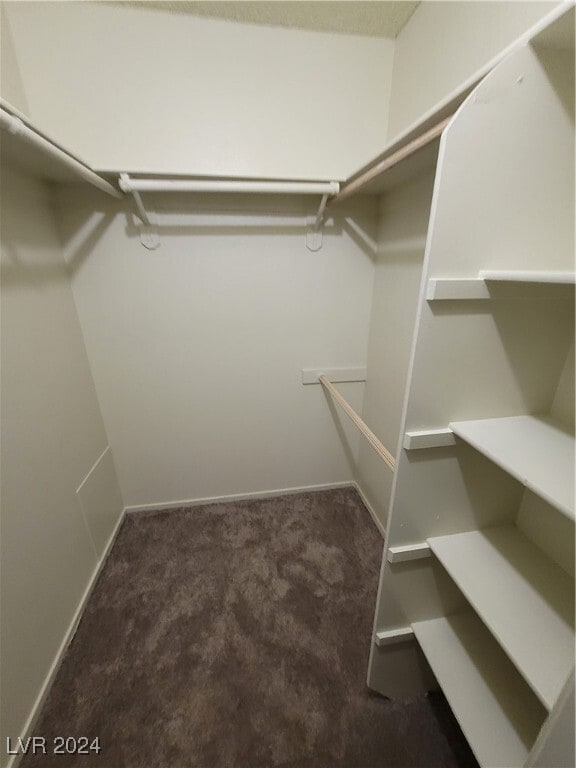 property at 873 Mantis Way