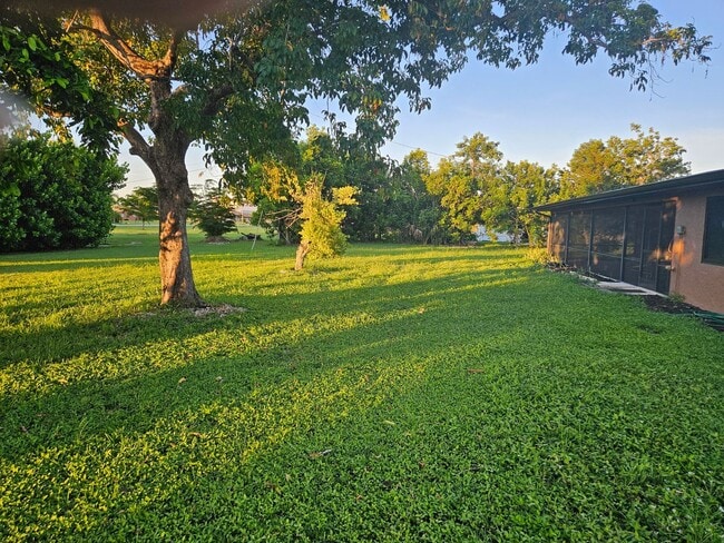 309 Tarpon Dr in Cape Coral, FL - Building Photo - Building Photo