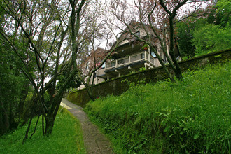 4 Greenfield Ct in San Anselmo, CA - Foto de edificio - Building Photo