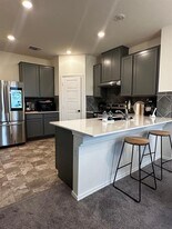 7311 Gray Catbird Dr in Austin, TX - Building Photo