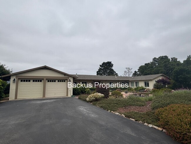 property at 4130 Segunda Dr