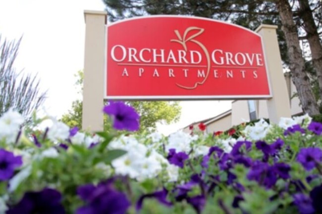 Orchard Grove