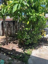 224 NE 1st St in Dania Beach, FL - Building Photo - Building Photo