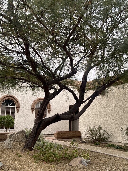 1930 S Westwood in Mesa, AZ - Building Photo