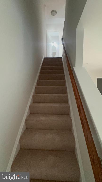 4424 Potomac Highlands Cir in Triangle, VA - Building Photo - Building Photo