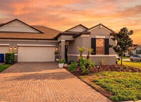 9882 Campanula Ct in Land O Lakes, FL - Building Photo