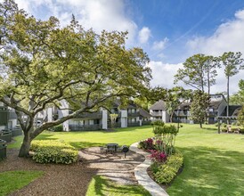 MAA Carrollwood in Tampa, FL - Foto de edificio - Building Photo