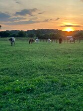 138 Davis Farms Rd in Danielsville, GA - Building Photo - Building Photo