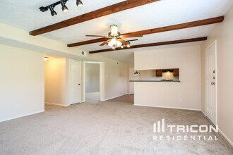 3738 Xenophon Dr in Houston, TX - Building Photo - Building Photo