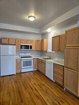 4015 W Wilcox St, Unit 1 in Chicago, IL - Building Photo