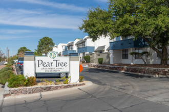 Pear Tree Apartments in El Paso, TX - Building Photo - Building Photo