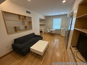 115 Mt Auburn St in Cambridge, MA - Building Photo - Building Photo