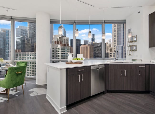 460 North Park in Chicago, IL - Foto de edificio - Building Photo