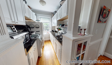 11 Gray St in Cambridge, MA - Building Photo - Building Photo
