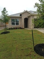 2204 Bettylou Ln in Austin, TX - Building Photo