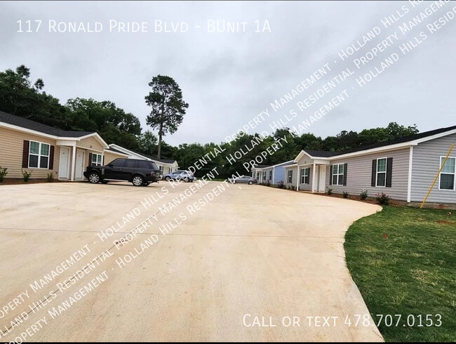 property at 117 Ronald Pride Blvd
