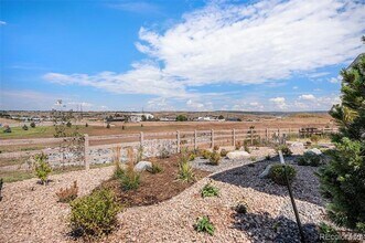 8918 Whiteclover St in Littleton, CO - Building Photo - Building Photo