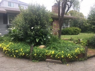 property at 2231 Overlook Dr