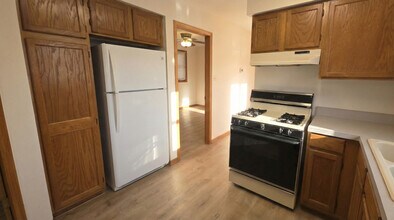 445 W 37th St in Chicago, IL - Building Photo - Building Photo