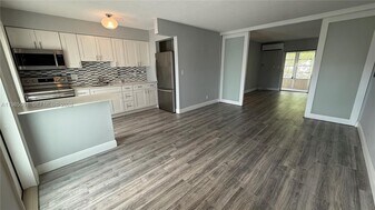 2115 NE 42nd Ct in Lighthouse Point, FL - Building Photo