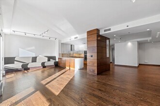 250 E Pearson St in Chicago, IL - Building Photo - Building Photo