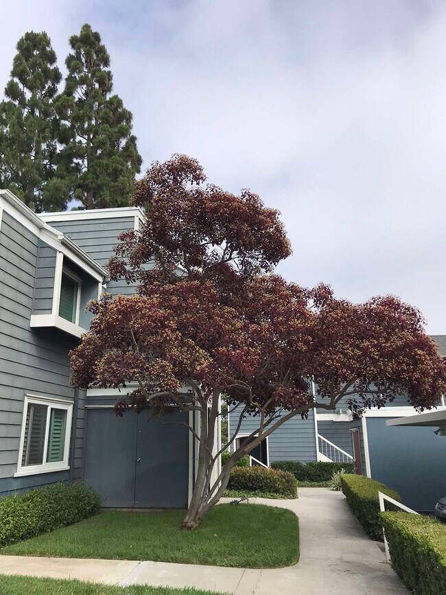 6000 Bixby Village Dr Rentals in Long Beach, CA