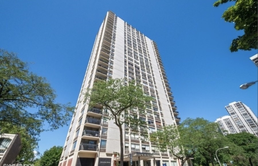 1355 N Sandburg Terrace in Chicago, IL - Building Photo