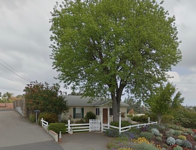 1515 Lovely Ln in Vista, CA - Building Photo - Building Photo