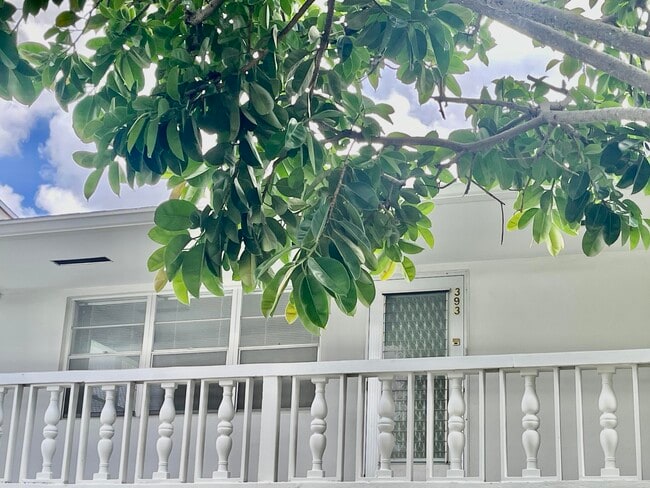 property at 393 Northampton S