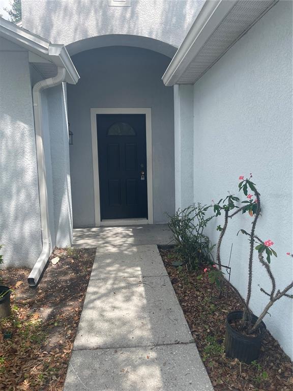 4231 Northern Dancer Way in Orlando, FL - Building Photo - Building Photo