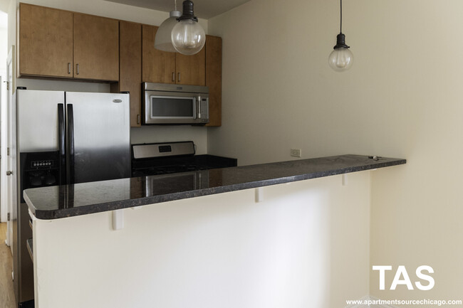 1738 W Altgeld St in Chicago, IL - Building Photo - Building Photo