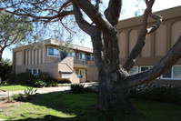 Shorecrest Apartments in San Diego, CA - Building Photo - Building Photo