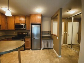 3729 Snelling Ave in Minneapolis, MN - Building Photo