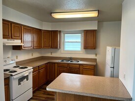 223 N Webster St in Jackson, MI - Building Photo