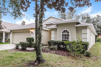 721 Straw Lake Dr in Brandon, FL - Building Photo - Building Photo