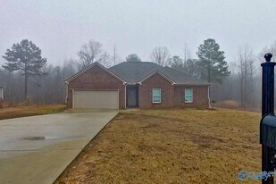 1389 Old Rd in Jasper, AL - Building Photo