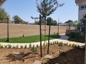 Apricot Townhomes in Simi Valley, CA - Building Photo - Building Photo