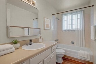 Yorkshire in Colorado Springs, CO - Building Photo - Building Photo