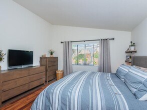 906 Alyssum Rd in Carlsbad, CA - Building Photo - Building Photo