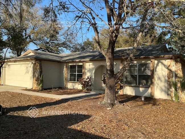 417 Oakleaf Blvd in Oldsmar, FL - Building Photo - Building Photo