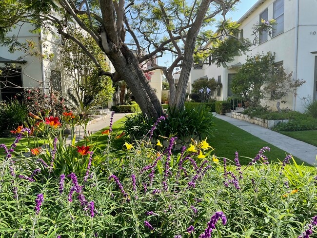 property at 1008 6th St