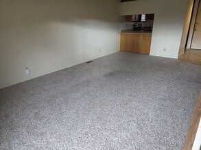 3114 N Truckee Ln in Sparks, NV - Building Photo - Building Photo