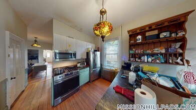 48 Alleghany St in Boston, MA - Building Photo - Building Photo
